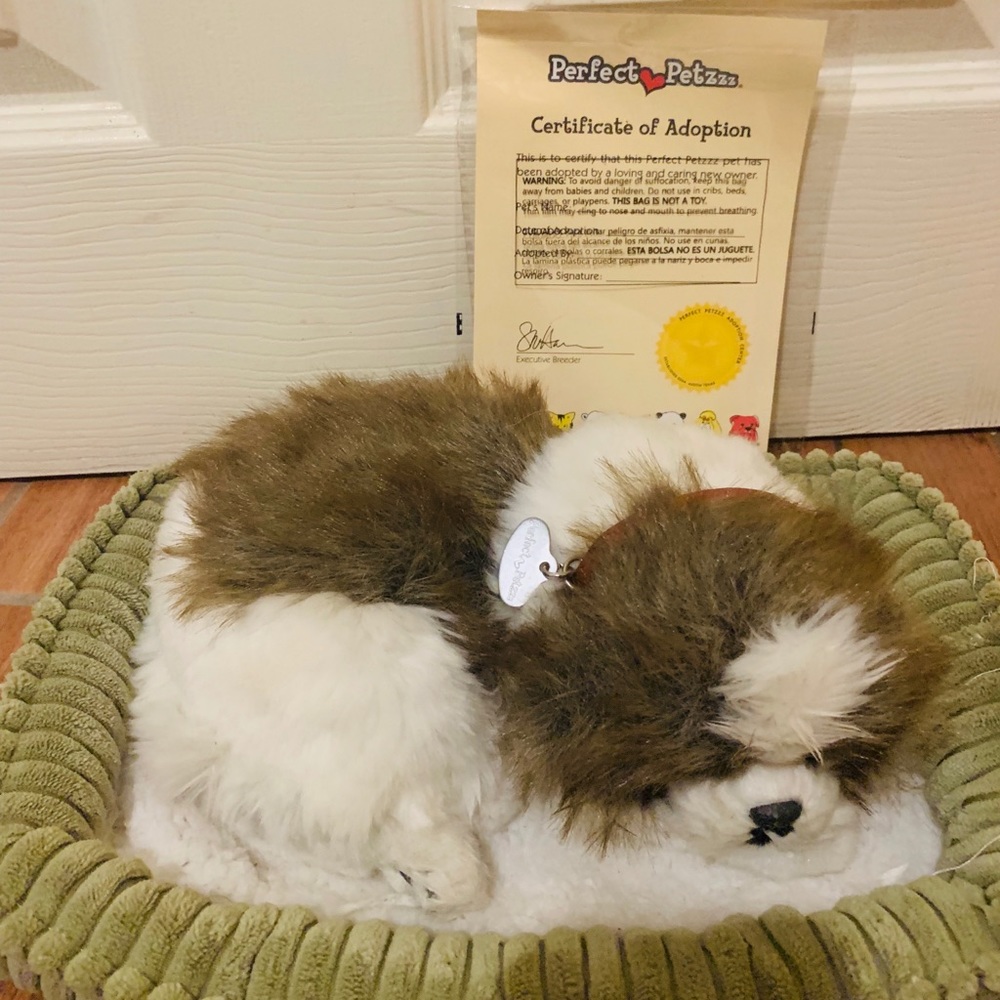 Perfect pets dog